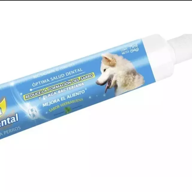 Pasta dental