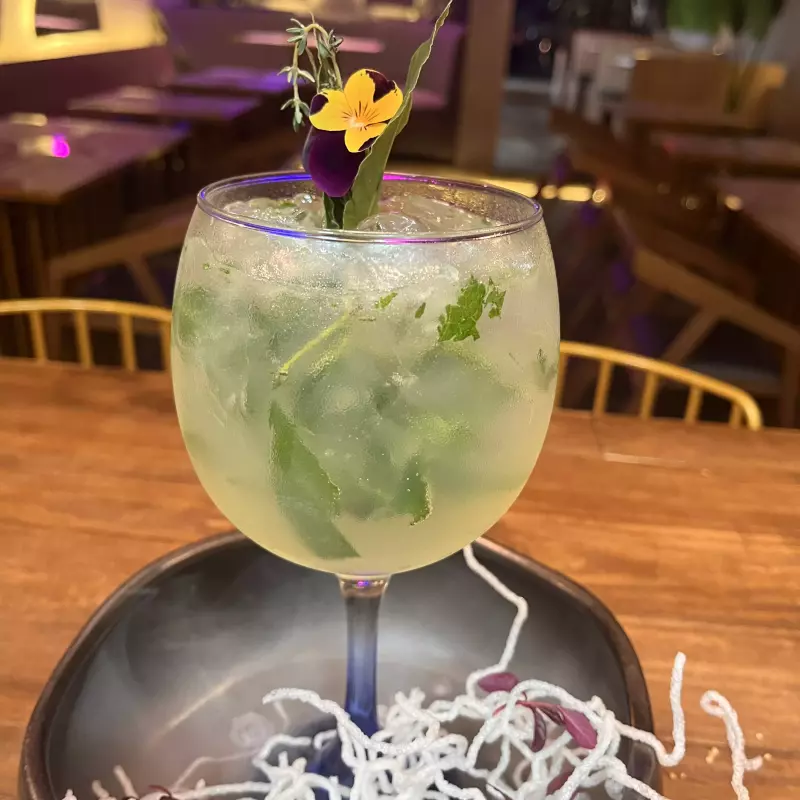 Apple Herbal Gin Tonic