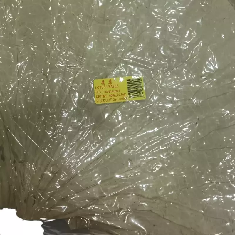 荷花叶 hojas de lotus