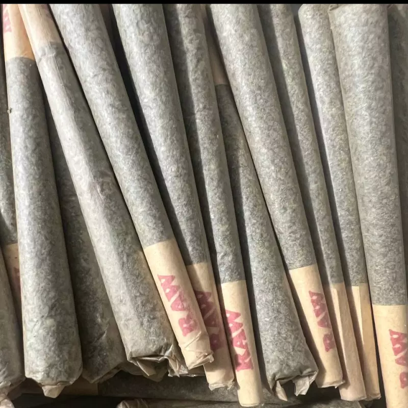 •BATES PREROLADOS XL✅