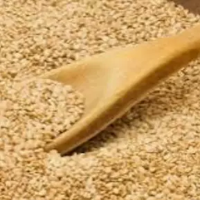 Gergelim Torrado 100g