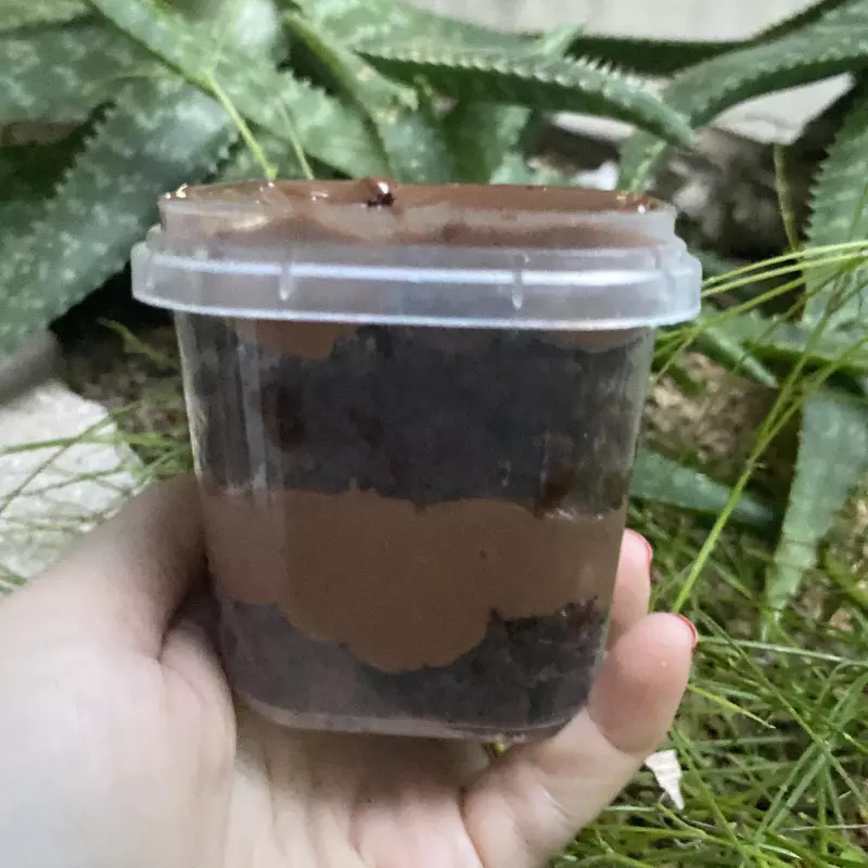 Choco com brigadeiro congelado