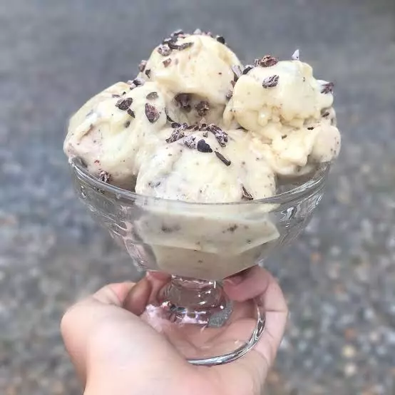 Sorvete ninho FLOCADO