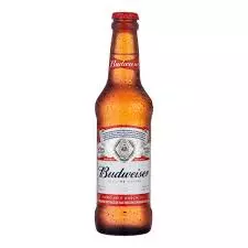 Cerveja Budweiser Long Neck 330ml