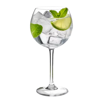 GIN TONIC HEREDERO