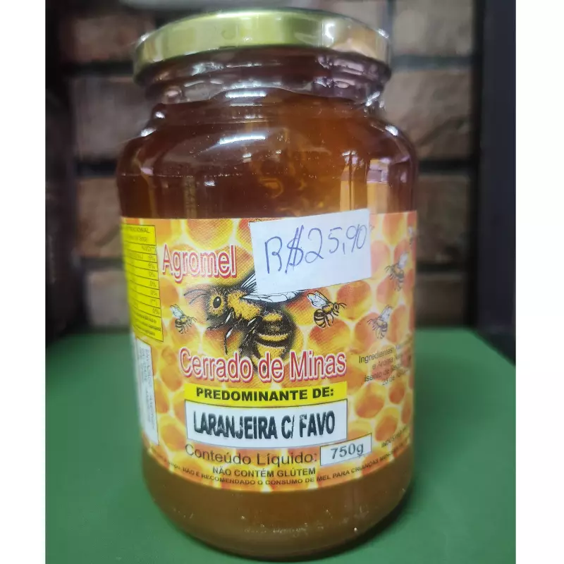 MEL LARANJEIRAS 750G