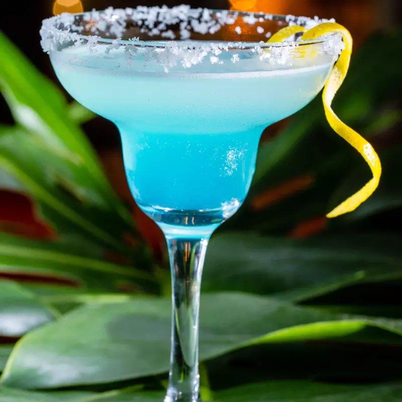 Margarida
