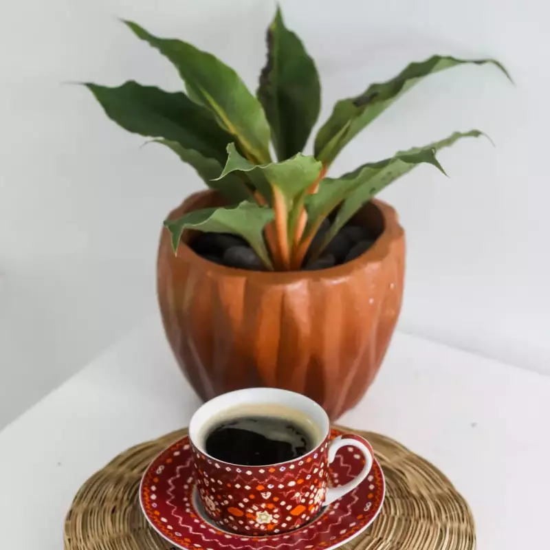 Americano