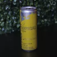 Red Bull Tropical 250ml ⚡
