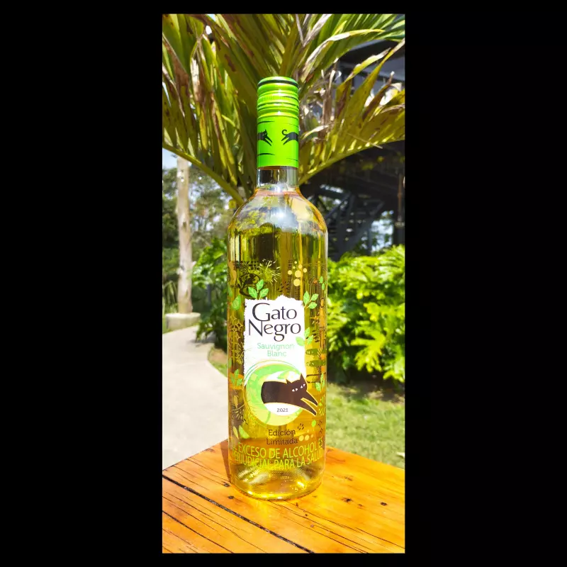 Gato negro vino Sauvignon blanc