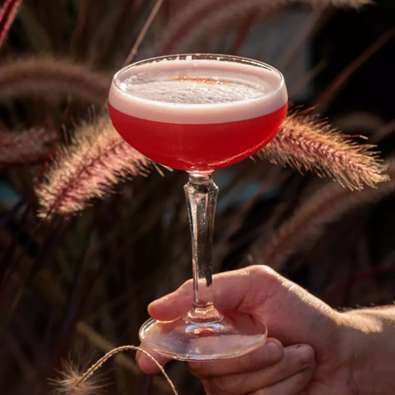 CAMPARI SUOR