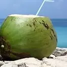 COCO VERDE