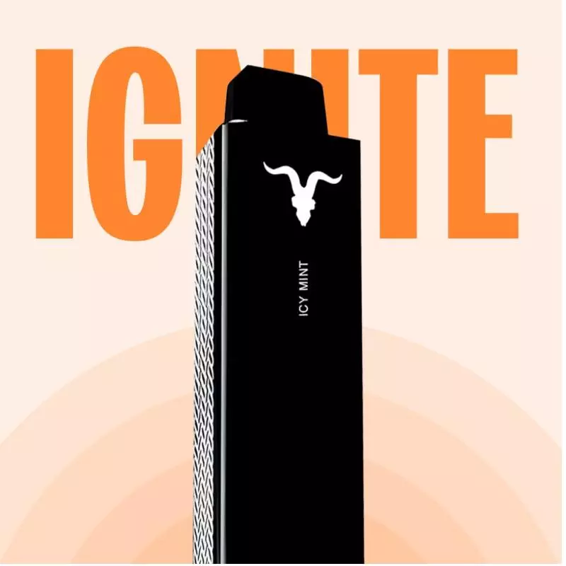 VNANO - 1.000 PUFFS💨