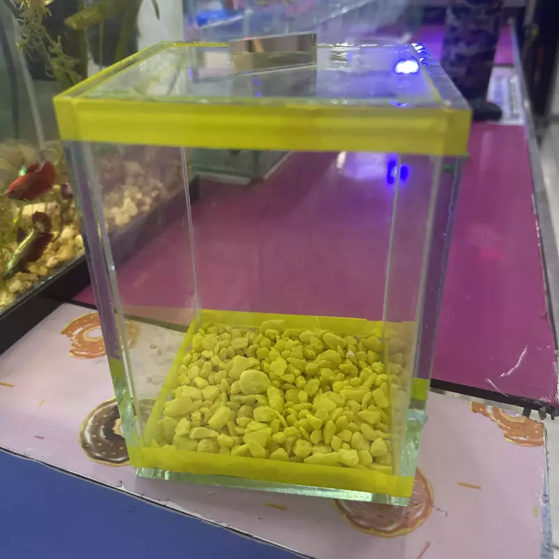 Beteira vidro comprida - Amarela