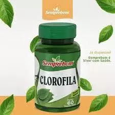 Clorofila 60 cápsulas - 500mg