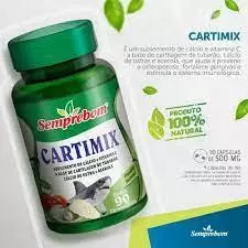 CARTIMIX - 90 CÁPS - 500 MG