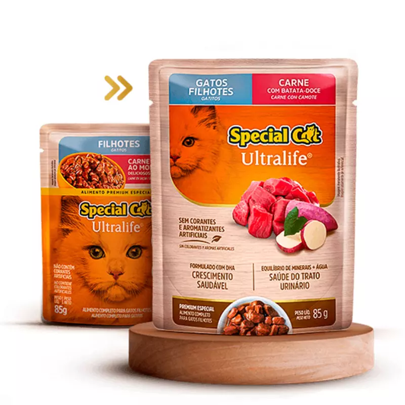 Sache Special Cat Filhotes