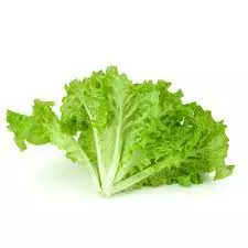 Lechuga Criolla x 250g (120)