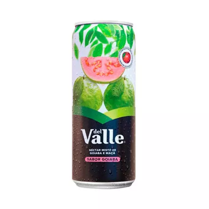 Suco Dell Vale 290ml