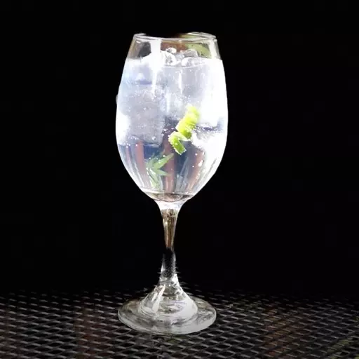 Gin Tonic