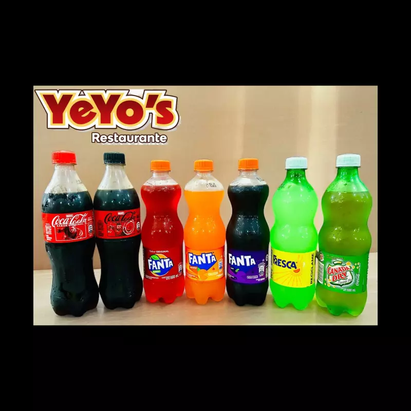 Gaseosa 600ml