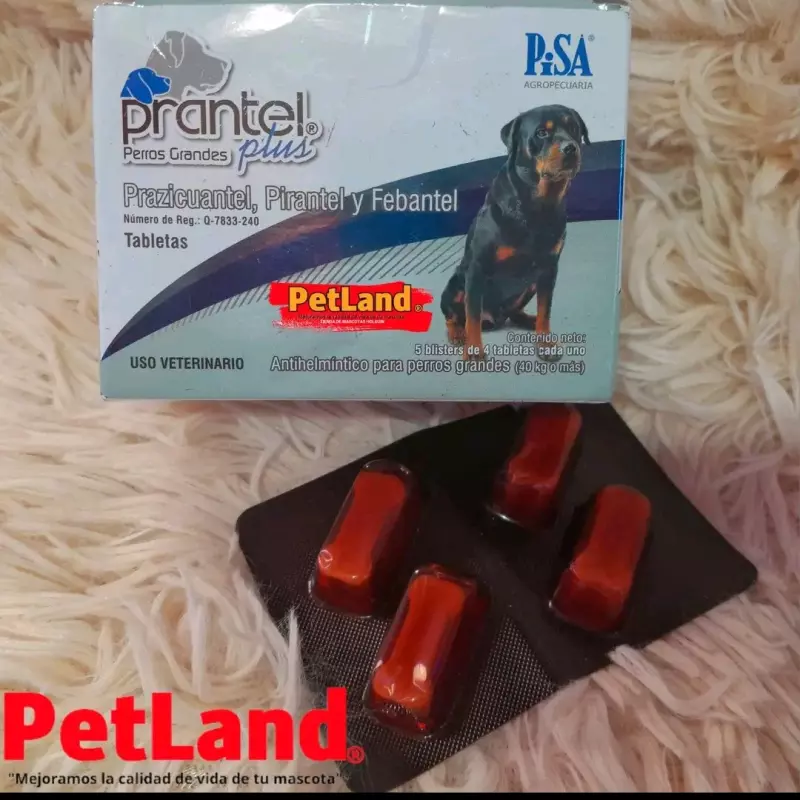 Prantel Antiparasitario