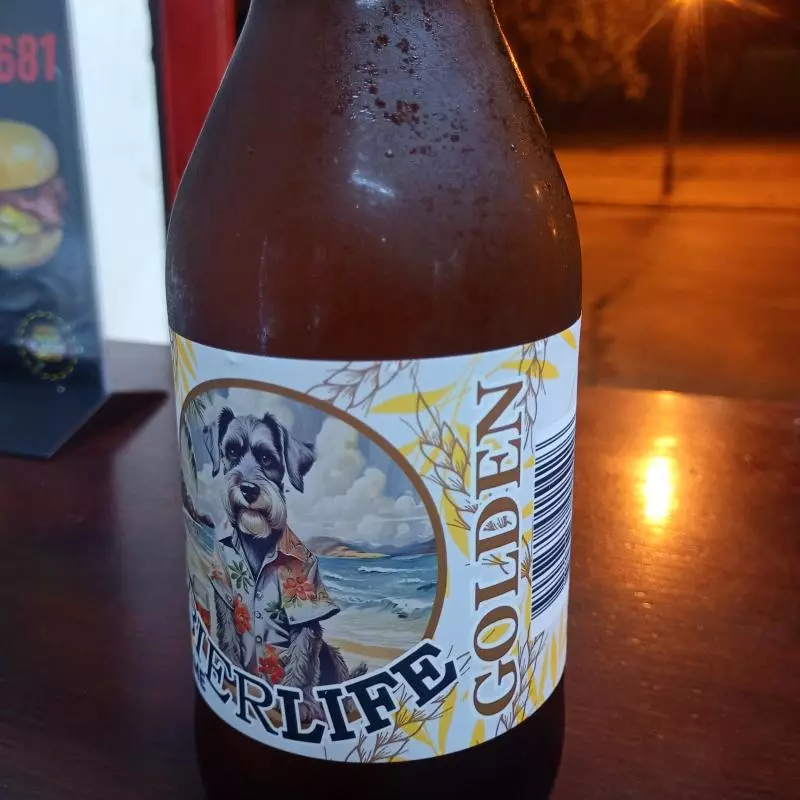 Bierlife GOLDEN