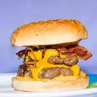 Point Mini Carnívoro