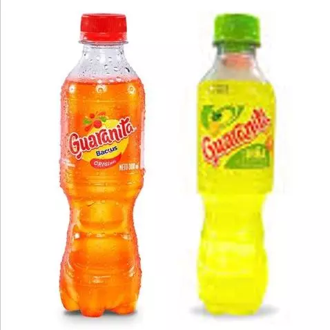 GUARANITA 355ML