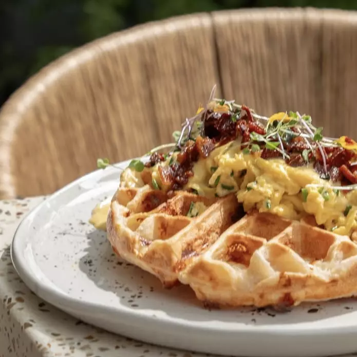 WAFFLE SALADO