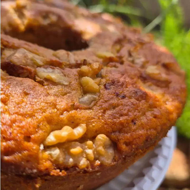 Bolo de Laranja Damasco e Noz s/ açú