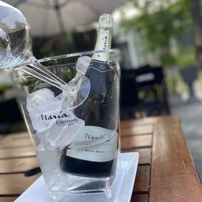 Champagne Maria Codorniú