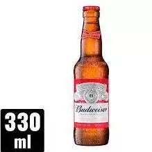 CERVEJAS LONG NECK 330ML