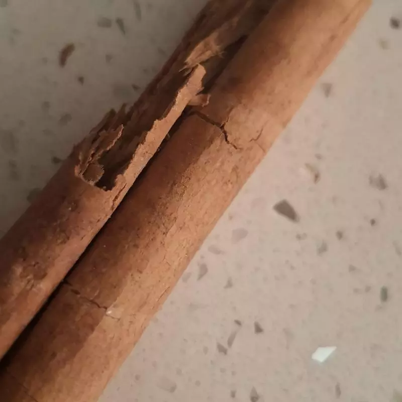 Canela en rama