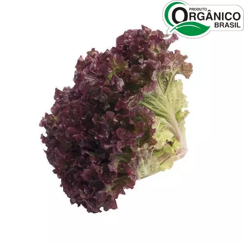 Alface Roxa Orgânico Un