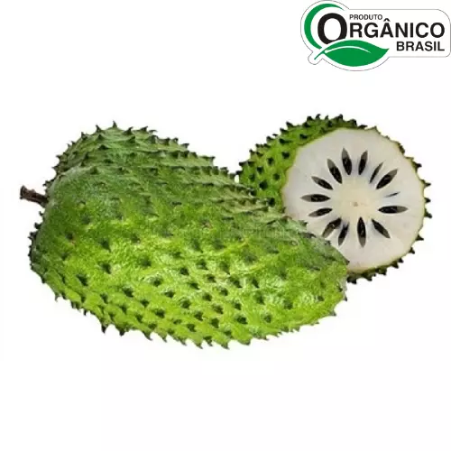 Graviola Orgânica