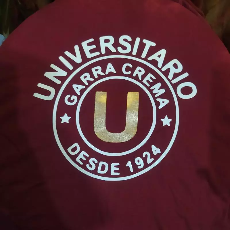 Polo universitario de deportes