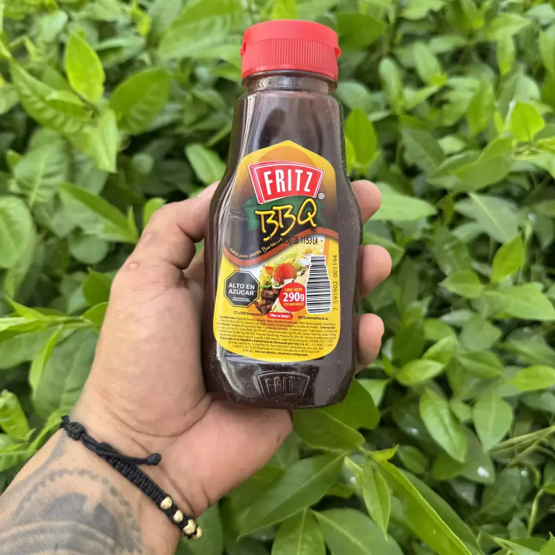 Salsa bbq Fritz