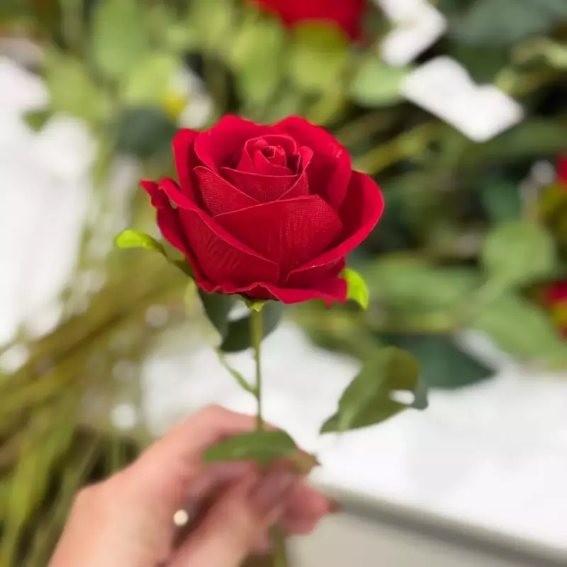 Rosa Artificial