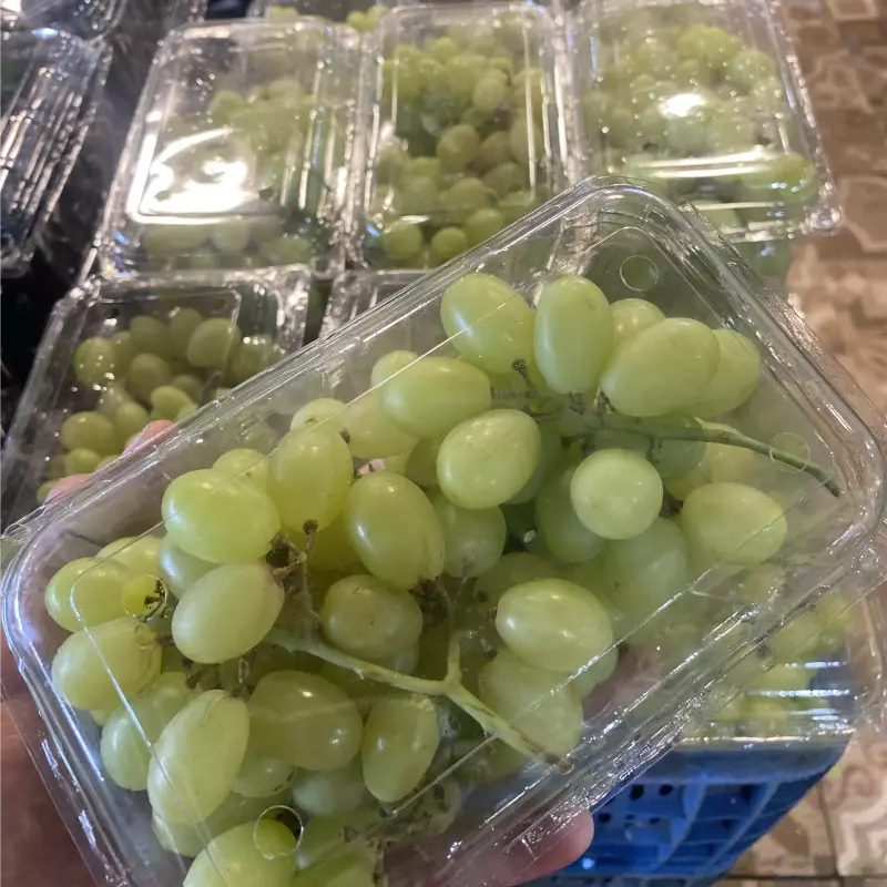 Uva verde sem semente