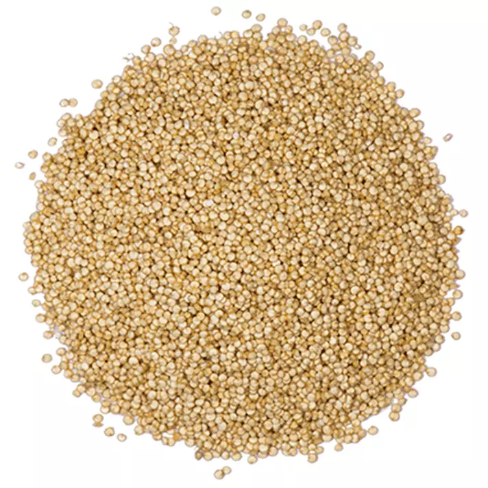 Quinoa branca em grãos