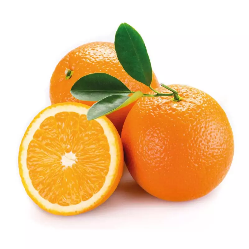 Naranja jugo de planta (92) x250