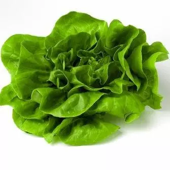 Lechuga Mantequilla x500gr