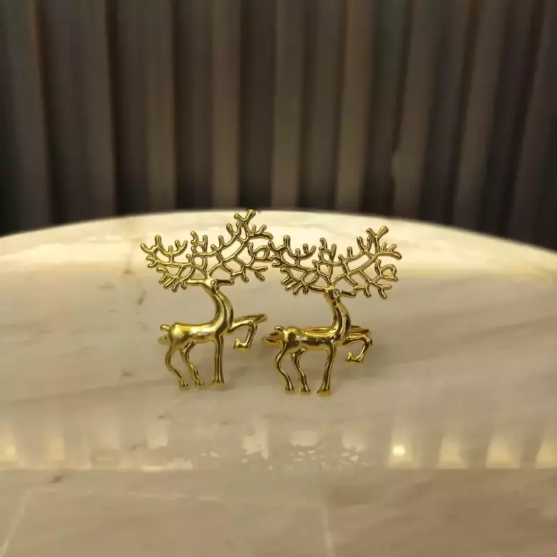 ANILLO SERVILLETERO 50443-25