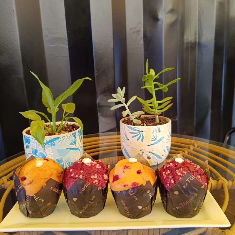 Muffin Vainilla Frutos