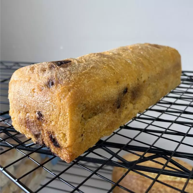 Pão Forma Cenoura e Gotas chocolate