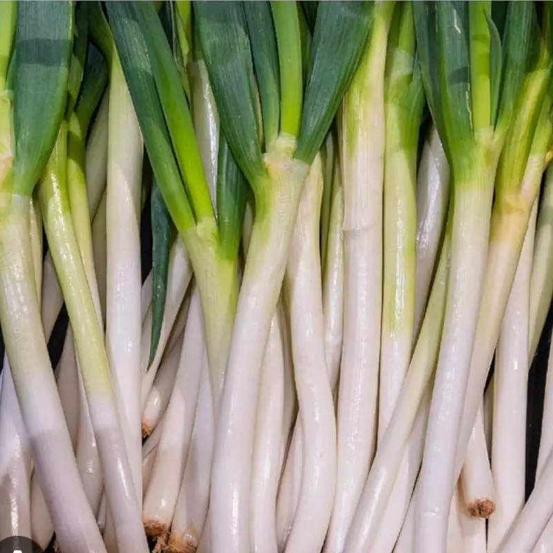Cebolla Larga x 500gr