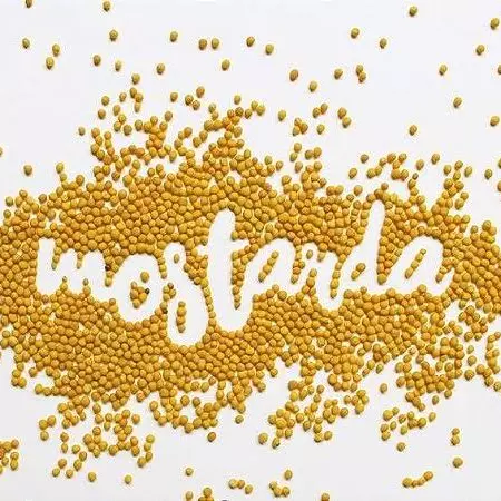 Mostarda em grão