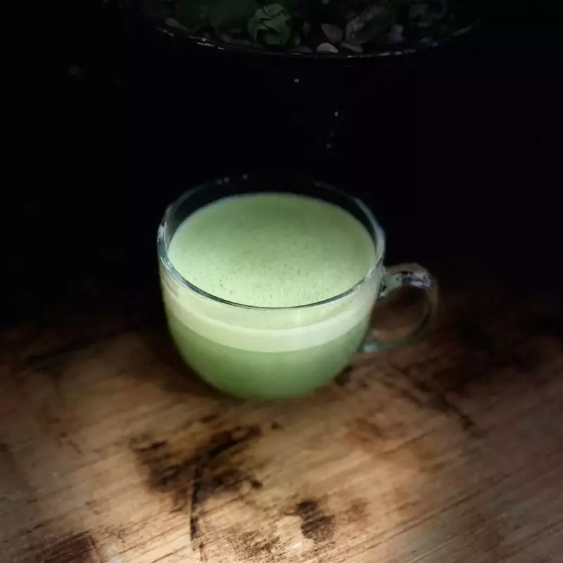Matcha Latte Fischer