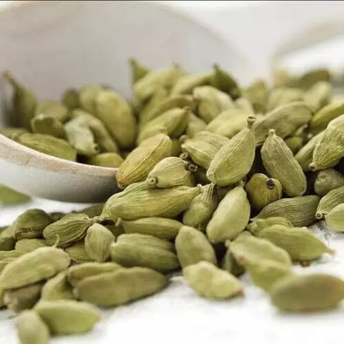 Cardamomo